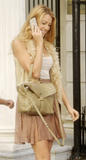 th_91854_celebrity_paradise.com_TheElder_BlakeLively102_122_100lo.jpg