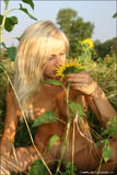 Natalya-Summer-Flowers-r01vc1rnc6.jpg
