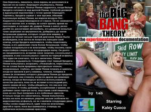 http://img133.imagevenue.com/loc472/th_462261190_big_bang_theory_the_experimentation_documentation_123_472lo.jpg