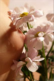 Mikhaila - Bodyscape: Summer Bouquet-c0u6mltvw5.jpg